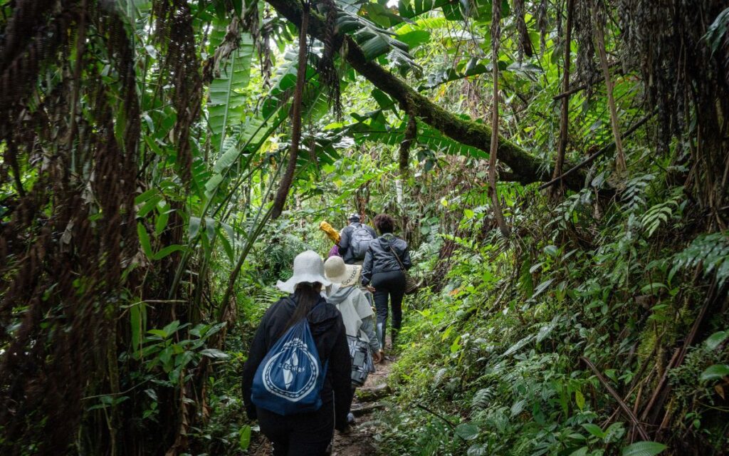 Equipo de la Unidad de Búsqueda y familiares en proceso de recuperación de cuerpos en Saladoblando, Huila