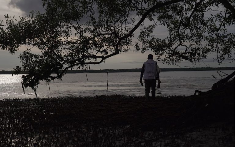 Medida cautelar en el Estero San Antonio se amplía hasta diciembre de 2025
