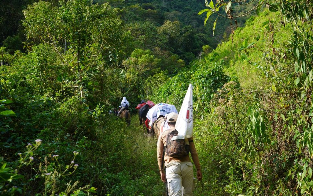 La Unidad de Búsqueda recupera seis cuerpos de personas desaparecidas en el cañón del río Micay