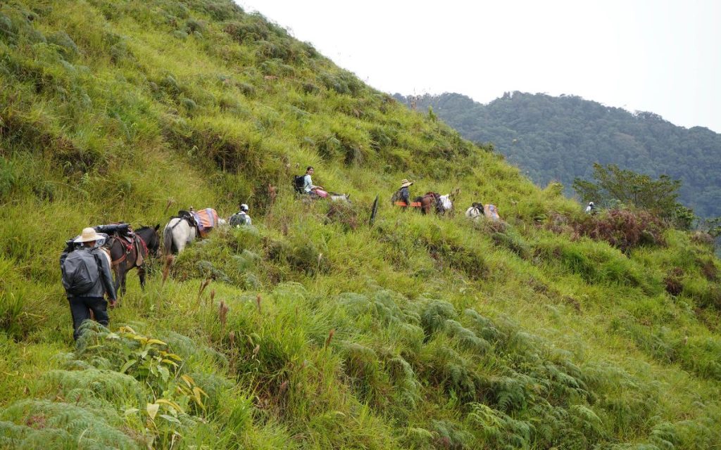 La búsqueda de personas desaparecida en Caquetá: una recuperación a campo abierto y contrarreloj 