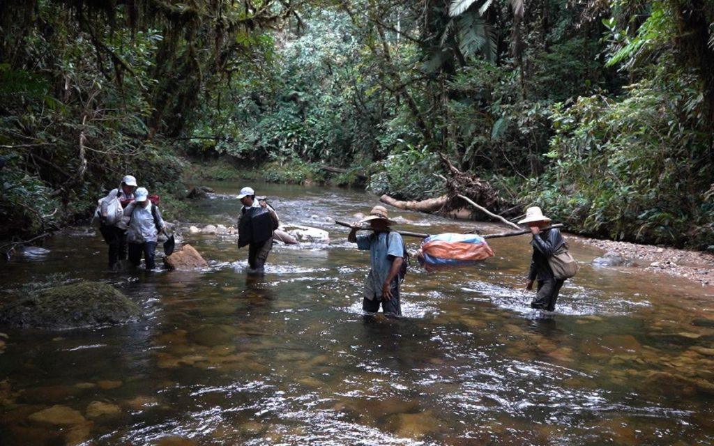 La búsqueda de personas desaparecida en Caquetá: una recuperación a campo abierto y contrarreloj 