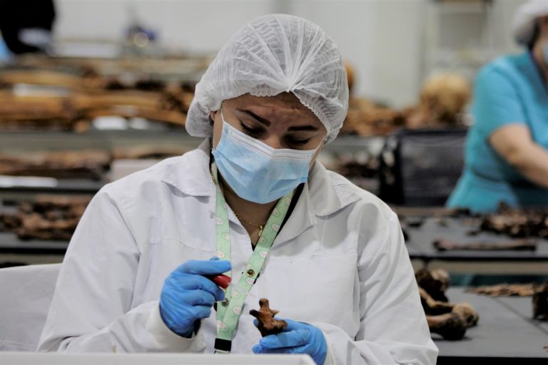 En solo tres meses, el Centro Integral de Abordaje Forense e Identificación de Medellín analizó 147 cuerpos