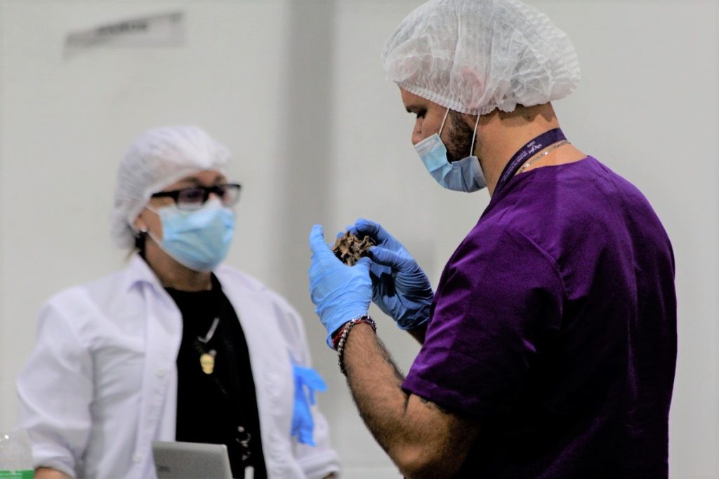 En marzo de 2025, la Unidad de Búsqueda de Personas dadas por Desaparecidas (UBPD) y el Instituto Nacional de Medicina Legal y Ciencias Forenses crearon en Medellín el Centro Integral de Abordaje Forense e Identificación con el propósito de agilizar la identificación de personas desaparecidas en el contexto del conflicto armado en el noroccidente de Colombia. Tras su inauguración, este espacio recibió 270 cuerpos recuperados por la Unidad de Búsqueda y en solo tres meses de funcionamiento logró abordar el 60 por ciento de estos.