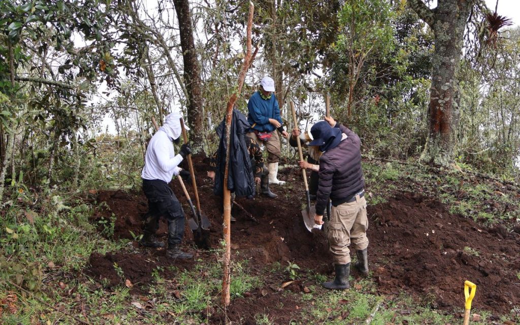 En una intervención humanitaria desarrollada por la Unidad de Búsqueda de Personas dadas por Desaparecidas (UBPD), dos cuerpos fueron recuperados en zona rural del municipio de Anzoátegui, en inmediaciones del Parque Nacional Natural Los Nevado, en el Tolima. Esta acción se realizó en el marco de la búsqueda de personas desaparecidas en el contexto del conflicto armado colombiano.