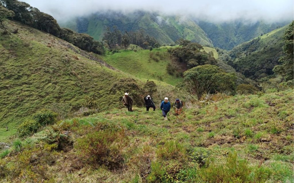 En una intervención humanitaria desarrollada por la Unidad de Búsqueda de Personas dadas por Desaparecidas (UBPD), dos cuerpos fueron recuperados en zona rural del municipio de Anzoátegui, en inmediaciones del Parque Nacional Natural Los Nevado, en el Tolima. Esta acción se realizó en el marco de la búsqueda de personas desaparecidas en el contexto del conflicto armado colombiano.