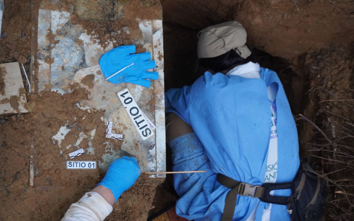 Con una ubicación estratégica en el Piedemonte araucano, Fortul es el municipio más joven de Arauca. Rodeado por la cordillera Oriental y conectado con Casanare, Boyacá y Venezuela, ha sido históricamente un corredor comercial. Su fundación está ligada, por tanto, a la llegada de familias provenientes de distintas regiones de Colombia y de Venezuela que se asentaron en la zona y conformaron un pequeño caserío de paso. Hace apenas 34 años que Fortul fue elevado a la categoría de municipio.