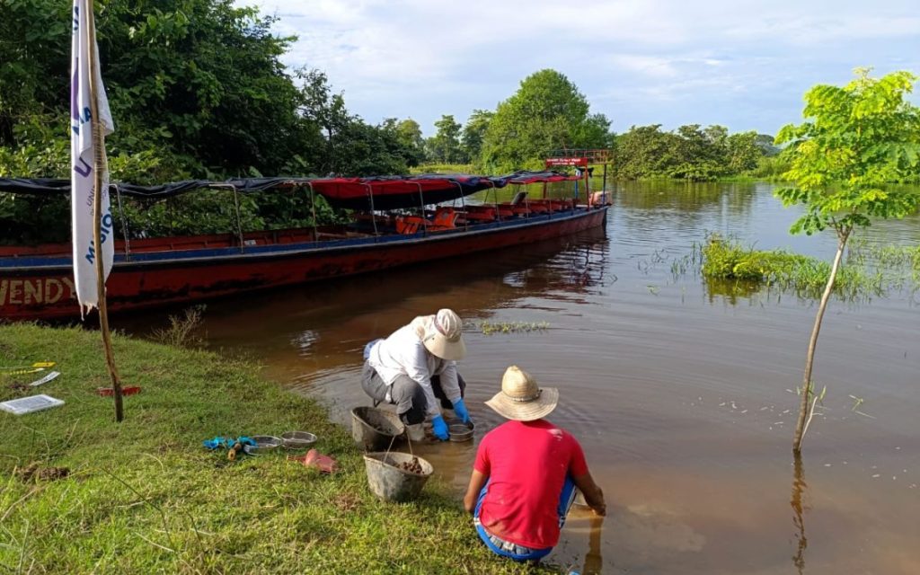 Entre el río y la tierra, cerca del desembarcadero del corregimiento Chapetona, en el sur de Bolívar, emergió el primer fruto de la búsqueda humanitaria y extrajudicial que lidera la Unidad de Búsqueda de Personas dadas por Desaparecidas (UBPD): estructuras óseas que corresponden a un cuerpo humano y que se constituyen en la primera recuperación del Plan Regional de Búsqueda Depresión Momposina.