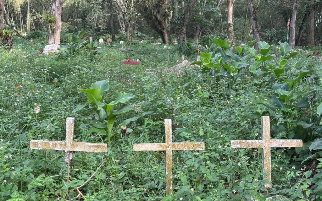 Así como crece, año tras año, la espesa vegetación en el clausurado cementerio San Antonio de Padua del municipio de Pitalito, en el Huila, también crece la esperanza de decenas de familias que anhelan encontrar, entre las profundidades de la tierra, respuestas sobre el paradero de sus seres queridos desaparecidos, esto en el marco de la nueva intervención técnica forense que adelanta allí la Unidad de Búsqueda de Personas dadas por Desaparecidas (UBPD) entre el 19 y el 29 de agosto.