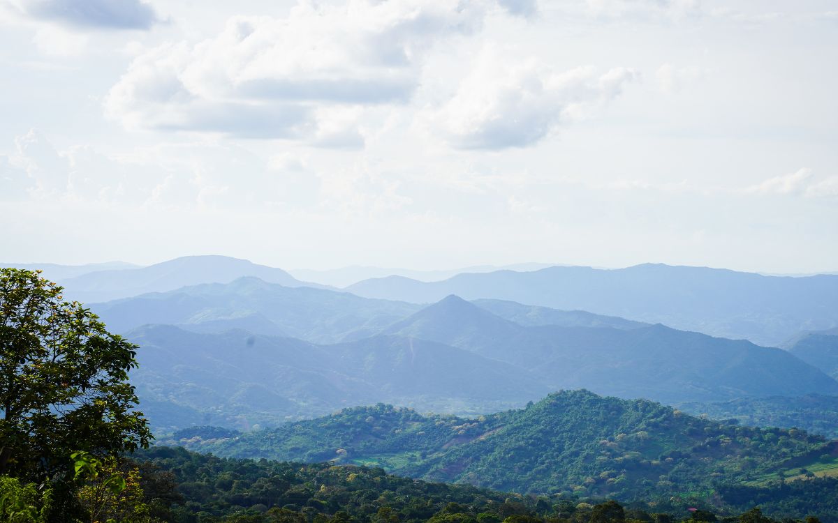 En Viotá, un municipio de montañas y cafetales al sur de Cundinamarca, la tierra volvió a mostrar una señal del pasado. La Unidad de Búsqueda de Personas dadas por Desaparecidas (UBPD), con apoyo de la Corporación Humanitaria Reencuentros, recuperó allí el cuerpo de una persona desaparecida en los años noventa. La intervención hace parte del Plan Regional de Búsqueda del Occidente de Cundinamarca, que abarca 49 municipios y que, en este caso, sigue la hipótesis de que al menos once víctimas del conflicto armado fueron inhumadas en fosas individuales a campo abierto en la zona.