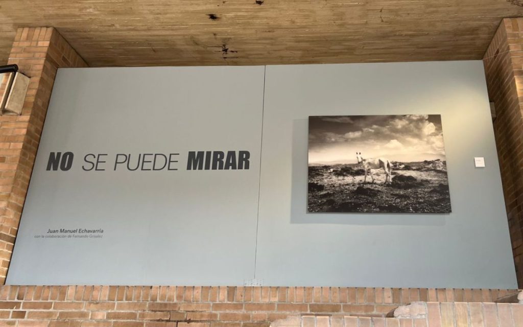 La psiquiatra y escritora suizo-estadounidense Elisabeth Kübler-Ross describió, a través de su célebre modelo, las cinco etapas del duelo: negación, ira, negociación, depresión y aceptación. Cada una de ellas constituye un territorio emocional que una persona atraviesa al enfrentarse con la pérdida, el dolor o la ausencia. Así como el ser humano procesa un duelo íntimo, sea afectivo o sea espiritual o ideológico, nos descubrimos transitando esas mismas etapas ante lo que vemos y escuchamos. 