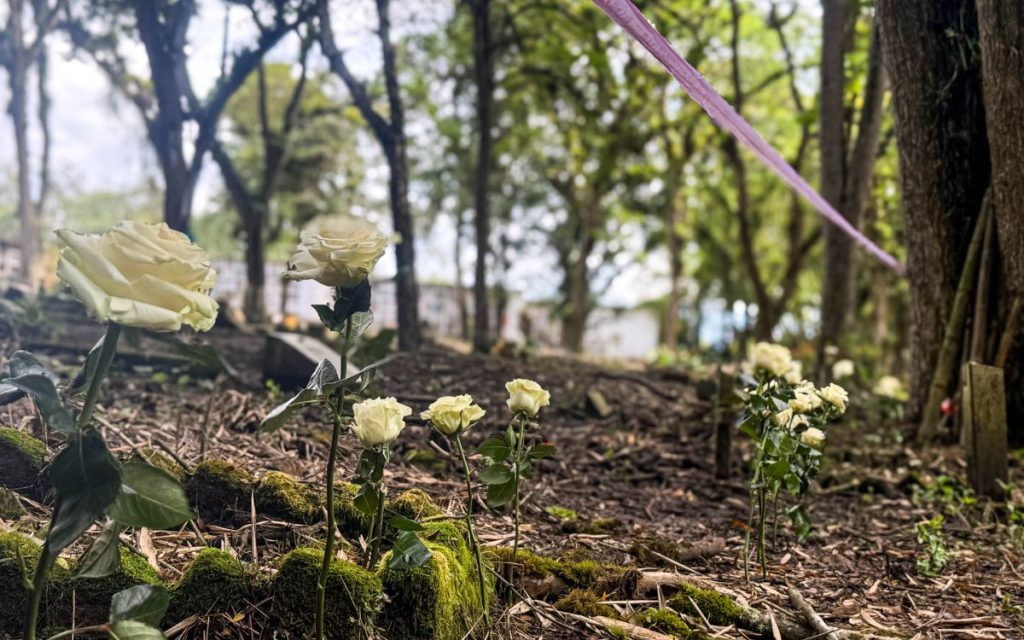 En el marco de la investigación humanitaria y extrajudicial que adelanta la Unidad de Búsqueda de Personas dadas por Desaparecidas (UBPD) en el Huila, con el propósito de encontrar a más de 1.500 personas cuya ausencia aún mantiene en la incertidumbre a sus familias en este departamento, se llevó a cabo la segunda fase de intervención al cementerio San Antonio de Padua, de Pitalito -también conocido como cementerio antiguo-, donde fueron recuperados 17 cuerpos que corresponderían a personas desaparecidas.