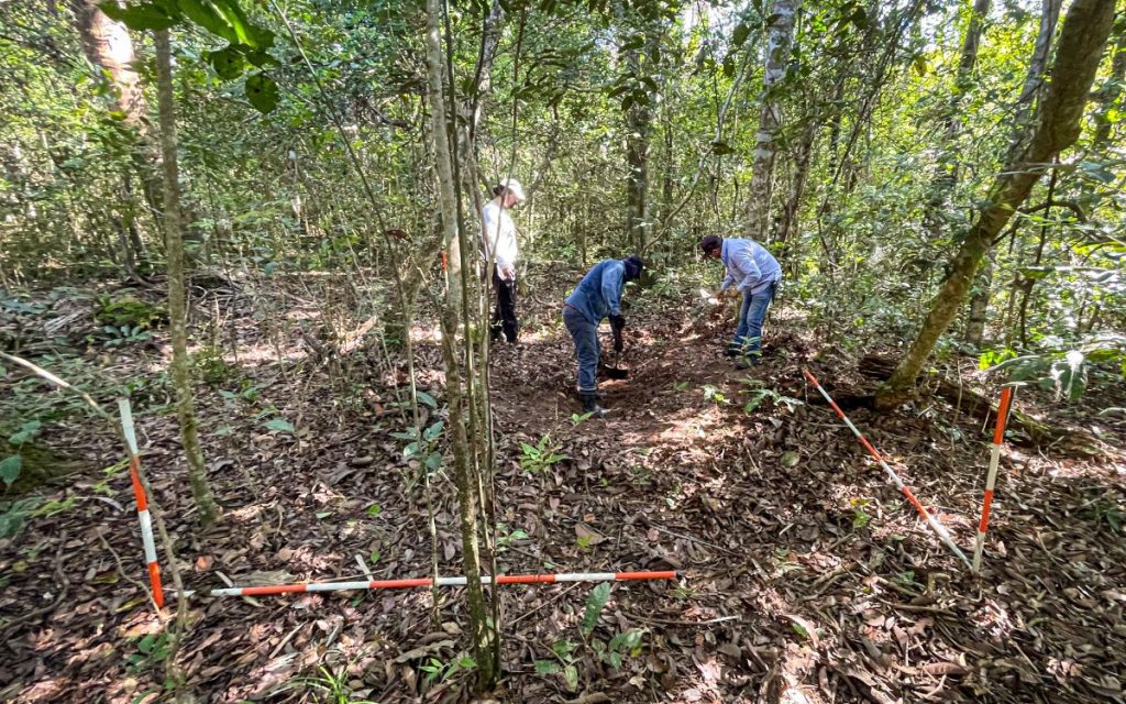 En Colombia, desde hace varios siglos se practica la guaquería. Quienes se dedican a ella, usan estrategias rudimentarias para encontrar objetos valiosos bajo tierra, muchas veces en lugares donde hubo tumbas y enterramientos prehistóricos. En una vereda del municipio de Aguazul, en Casanare, uno de ellos encontró algo distinto a lo que esperaba: estructuras óseas que, según observó, correspondían a una persona.