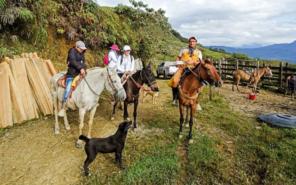 En Casanare, donde se registran más de 2.000 personas dadas por desaparecidas en el marco del conflicto armado, el miedo generado a raíz de la violencia ha dejado huellas dolorosas y difíciles de borrar en varias comunidades.