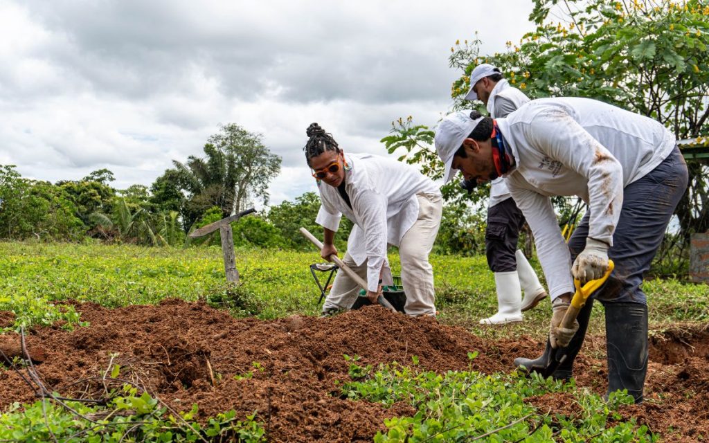 Hasta el cementerio comunitario de la vereda Playa Rica La Y, en la zona limítrofe entre San Vicente del Caguán, en Caquetá, y La Macarena, en el Meta, llegaron los equipos de la Regional Sur y la Territorial Caquetá de la Unidad de Búsqueda de Personas dadas por Desaparecidas (UBPD). Este camposanto fue testigo de la recuperación de los cuerpos de dos mujeres que corresponderían a personas desaparecidas hace 28 y 15 años en esta zona del país. 