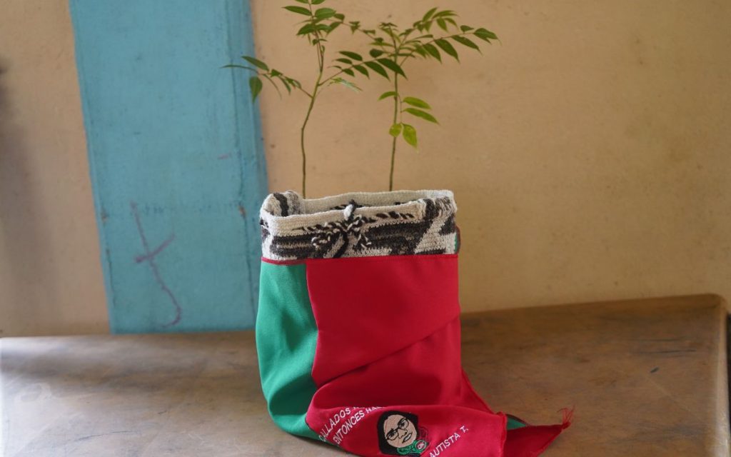 “Bienvenida a su comunidad, acá está su familia esperándola”. Con estas palabras y con la armonización al territorio y sus espíritus guardianes, el mayor Elicerio Vitonás Tálaga y las autoridades espirituales y tradicionales del resguardo Am Yu’ Kiwe del pueblo Nasa, ubicado en el municipio caucano de Toribío, les dieron la bienvenida a Luz Mary y su familia.