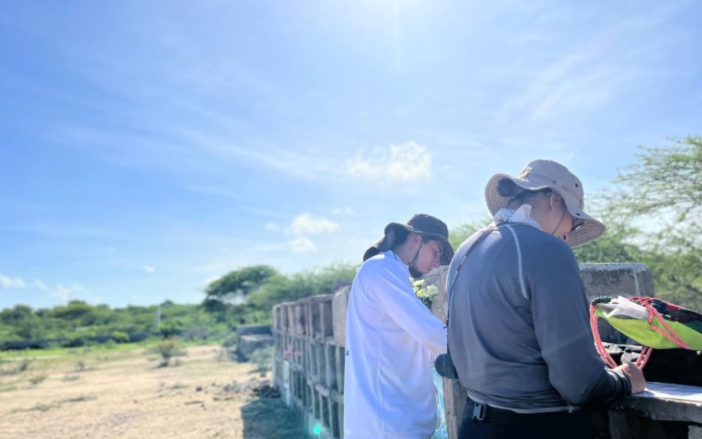 En la intervención realizada en el cementerio Gente como Uno, ubicado en Riohacha, en el departamento de La Guajira, la Unidad de Búsqueda de Personas dadas por Desaparecidas (UBPD), a través de su equipo en el Magdalena, desarrolló labores de prospección con fines de recuperación en 19 sitios de interés para la búsqueda, ubicados en osarios y bóvedas. Estos representaban un reto para su abordaje, teniendo en cuenta que no se tenía certeza del número total de cuerpos, lo que implicó para los profesionales un esfuerzo adicional en la revisión de 64 contenedores.