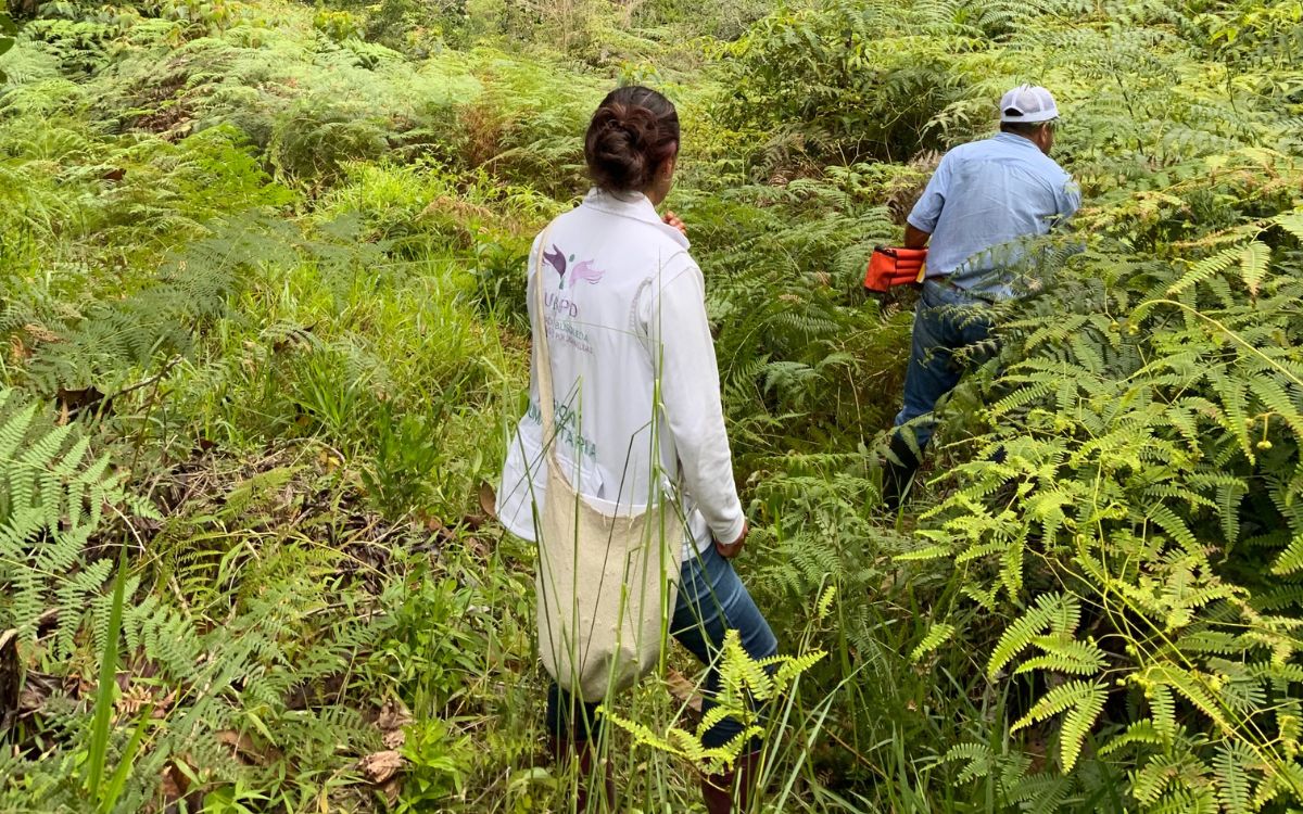 En desarrollo de dos acciones humanitarias en el territorio sagrado de El Sande, en el municipio nariñense de Santacruz de Guachavés -que forman parte del Plan Regional de Búsqueda Centro de Nariño-, la Unidad de Búsqueda de Personas dadas por Desaparecidas y la Corporación Humanitaria Reencuentros documentaron doce sitios de interés forense para fortalecer la búsqueda humanitaria y extrajudicial en este resguardo indígena, en donde las familias han venido liderando la búsqueda desde hace una década.
