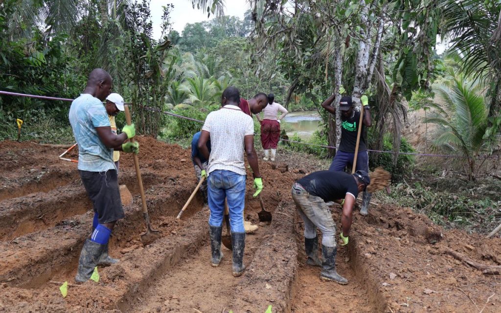 La Unidad de Búsqueda de Personas Dadas por Desaparecidas (UBPD), por medio de su equipo en el Pacífico Nariñense, desarrolló una serie de intervenciones forenses en las comunidades de Caimitillo, Arrayán, Invina y Cumbas del resguardo de Magüí, del pueblo indígena Awá, en el municipio de Ricaurte; y en las veredas Santa Rosa y Bella Vista del Consejo Comunitario El Recuerdo de Nuestros Ancestros del Río Mejicano, en el municipio de Tumaco.