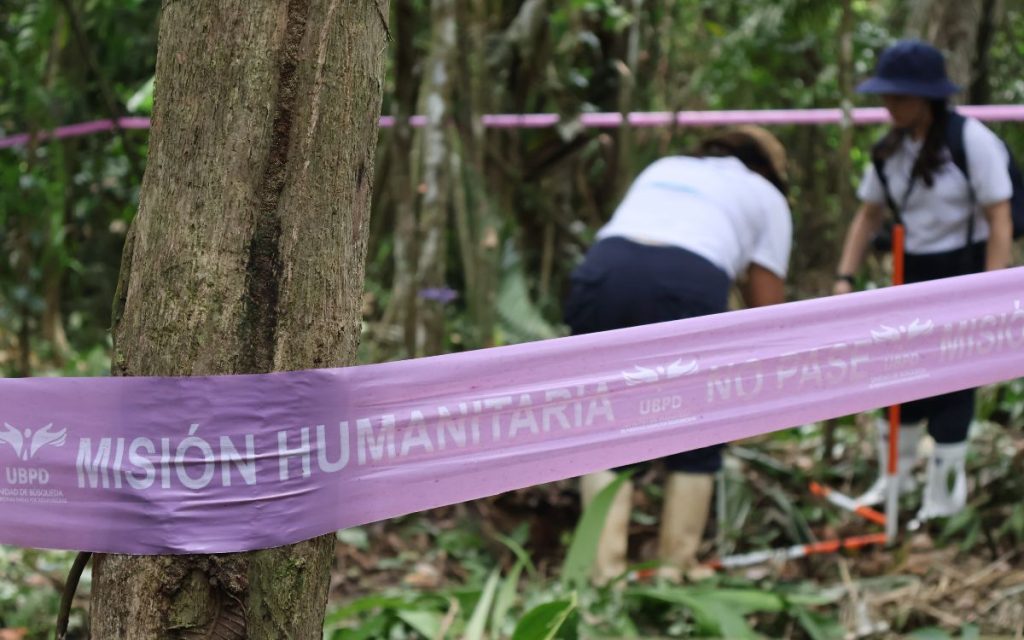 La Unidad de Búsqueda de Personas Dadas por Desaparecidas (UBPD), por medio de su equipo en el Pacífico Nariñense, desarrolló una serie de intervenciones forenses en las comunidades de Caimitillo, Arrayán, Invina y Cumbas del resguardo de Magüí, del pueblo indígena Awá, en el municipio de Ricaurte; y en las veredas Santa Rosa y Bella Vista del Consejo Comunitario El Recuerdo de Nuestros Ancestros del Río Mejicano, en el municipio de Tumaco.