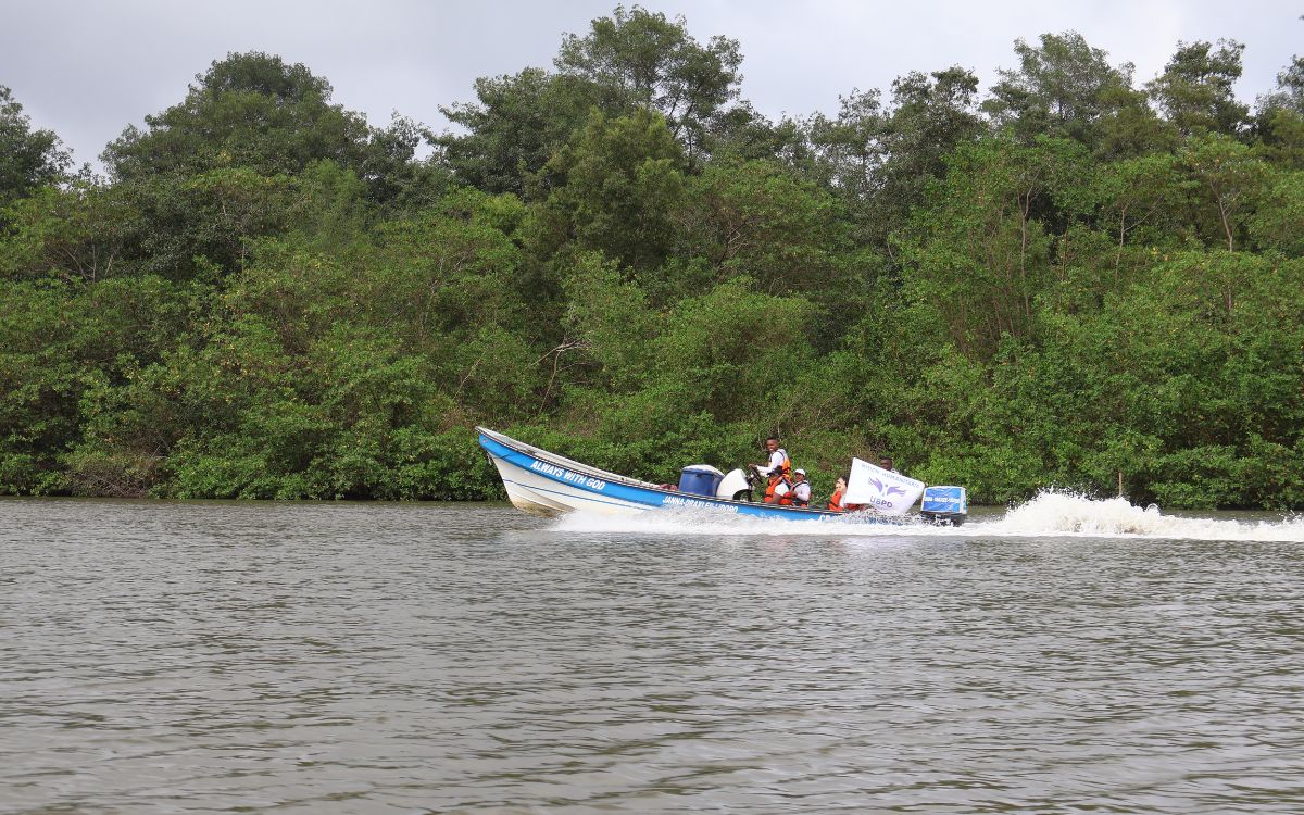 La Unidad de Búsqueda de Personas Dadas por Desaparecidas (UBPD), por medio de su equipo en el Pacífico Nariñense, desarrolló una serie de intervenciones forenses en las comunidades de Caimitillo, Arrayán, Invina y Cumbas del resguardo de Magüí, del pueblo indígena Awá, en el municipio de Ricaurte; y en las veredas Santa Rosa y Bella Vista del Consejo Comunitario El Recuerdo de Nuestros Ancestros del Río Mejicano, en el municipio de Tumaco.