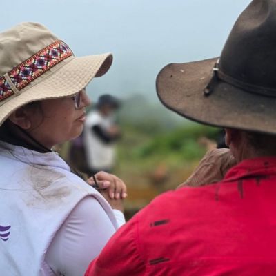 Búsqueda en el Meta