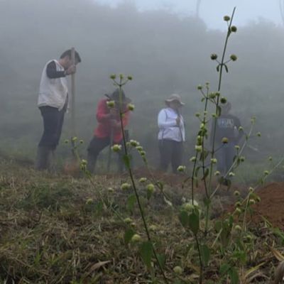 Testimonio aportante