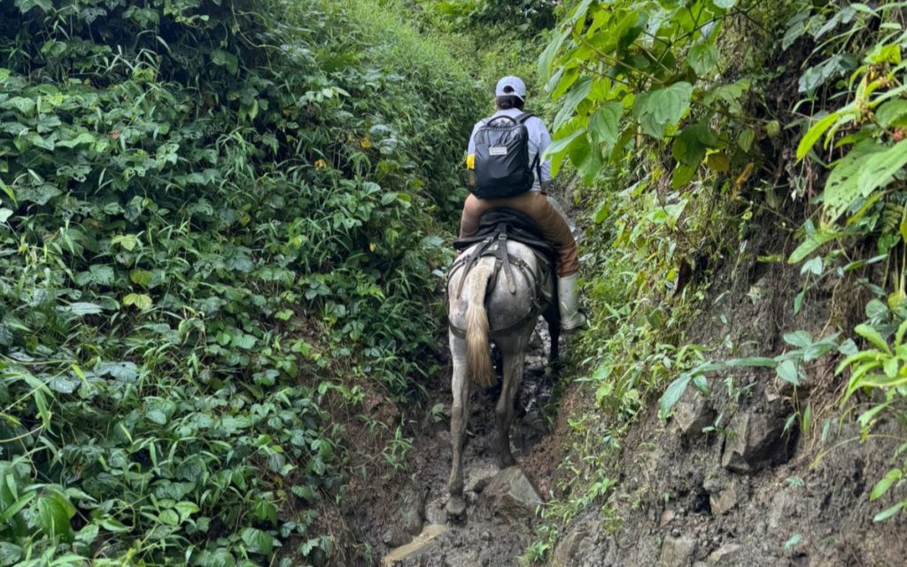 La Unidad de Búsqueda de Personas dadas por Desaparecidas (UBPD) logró la recuperación humanitaria de un cuerpo que, según la información orientada, podría corresponder a ese joven cuya familia, y en especial su madre, nunca perdió la esperanza de volverlo a ver.