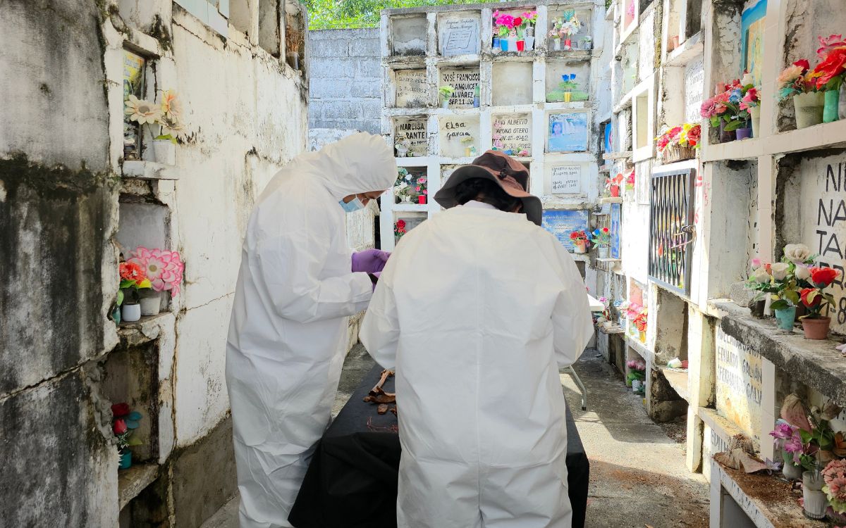 En el balance de cierre de año, la Unidad de Búsqueda de Personas dadas por Desaparecidas (UBPD) anunció la recuperación de 11 cuerpos no identificados en el departamento de Córdoba, culminando un periodo significativo en la búsqueda humanitaria en esta región del país. Con estos hallazgos, la cifra total de recuperaciones realizadas por la UBPD en Córdona durante 2025 asciende a 56 cuerpos.