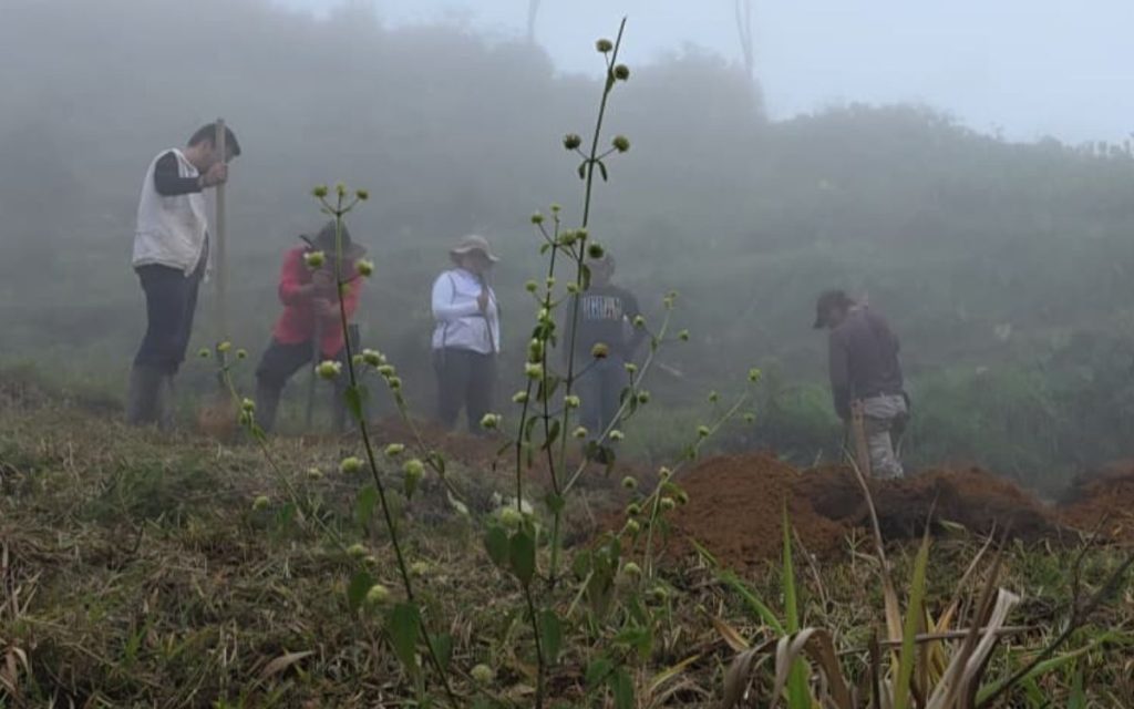 La Unidad de Búsqueda de Personas dadas por Desaparecidas (UBPD) reconoce a los aportantes de información como actores decisivos para avanzar en la búsqueda humanitaria en el departamento del Meta, el segundo con más registros de personas desaparecidas en el marco del conflicto armado en el país. Son quienes, desde distintos lugares y experiencias, han entregado datos que permiten ubicar posibles lugares de interés forense.