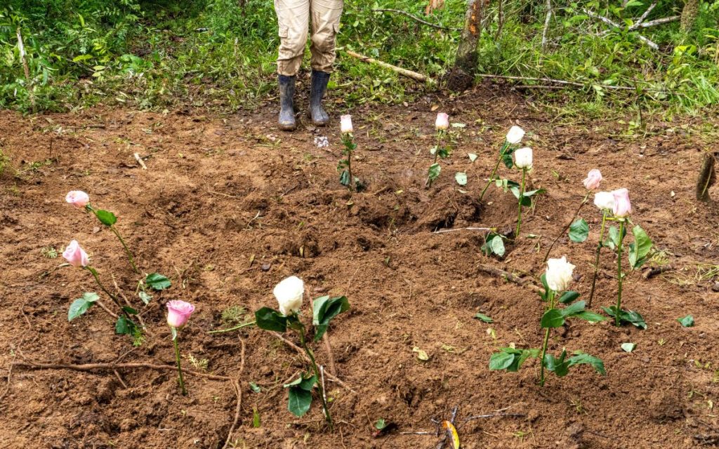 Durante más de 16 años, la orilla del río La Tunia —en zona limítrofe entre San Vicente del Caguán (Caquetá) y La Macarena (Meta)— guardó el cuerpo que correspondería, posiblemente, a *David; y con él, la esperanza persistente de su compañera *Diana de reencontrarse con su ser querido. Ella es mujer trans y, en años anteriores, sostuvo un vínculo de amor con David, que permanece vivo en su recuerdo y del que ella ha tomado la fuerza necesaria para persistir en su búsqueda, resistiéndose a que la existencia y la dignidad de quien fue su compañero de vida quedaran en el olvido tras su fallecimiento en hechos del conflicto armado.
