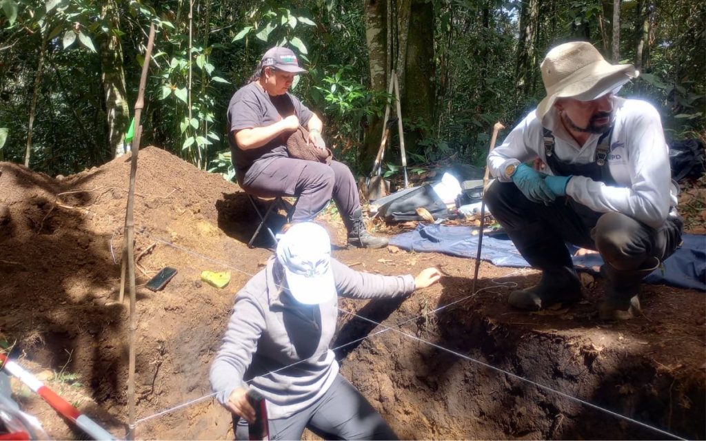 Montañas adentro, en los resguardos indígenas de San Lorenzo y Pueblo Nuevo de Caldono, en el Cauca, la Unidad de Búsqueda de Personas dadas por Desaparecidas (UBPD) adelantó acciones humanitarias para intervenir dos sitios de interés forense, uno en cada resguardo. Dos fosas individuales a campo abierto fueron el lugar de disposición de dos cuerpos que permanecían desaparecidos en razón y contexto del conflicto armado.