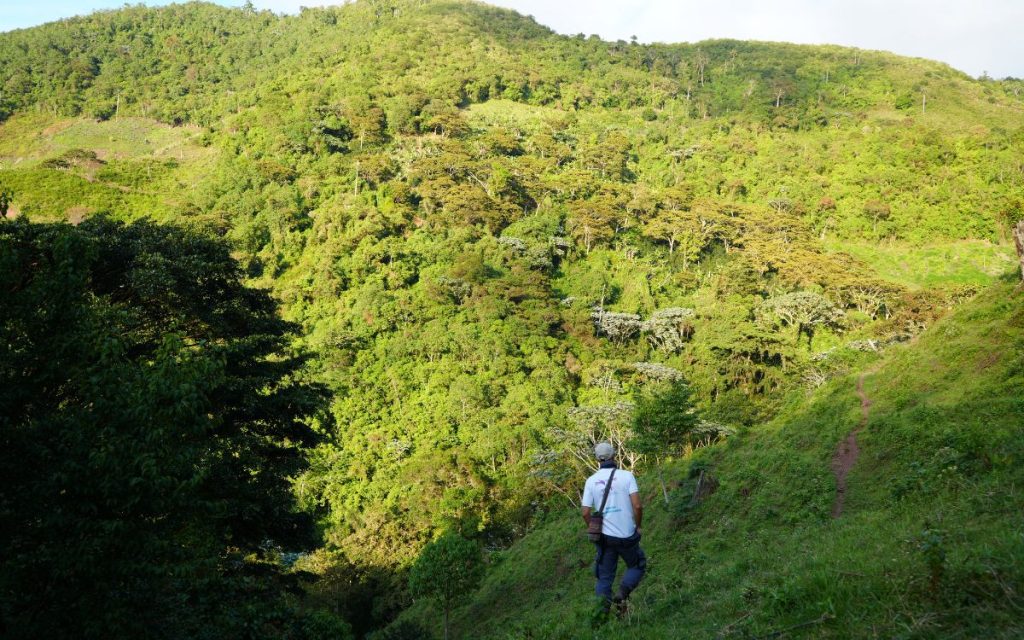 Aunque las décadas le pesen a José Alberto Ospino, su memoria no descansa. Tiene 64 años, habla despacio, como quien mide cada palabra para no despertar fantasmas. Con firmeza conserva su acento guajiro, ese que se adhiere a la piel como el polvo del camino y que no se pierde ni con los años ni con el exilio. No se presenta como héroe ni como víctima: se nombra como un padre de familia que, en medio de la escasez y la desesperanza que a veces ofrece la vida, se arrimó a la orilla equivocada.