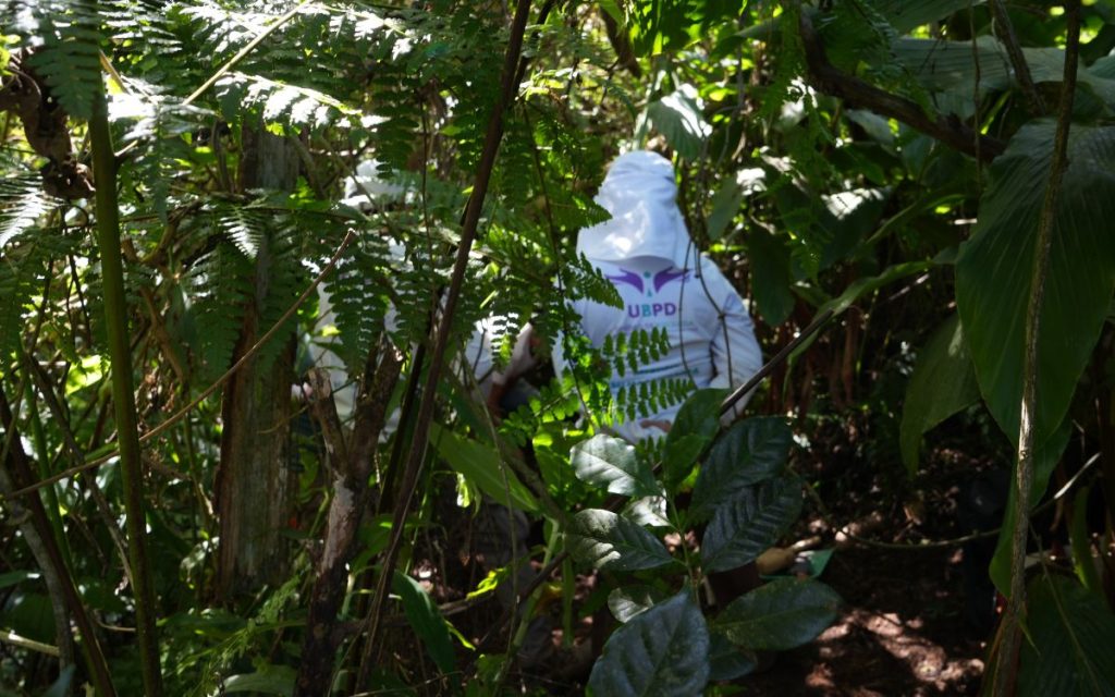 Aunque las décadas le pesen a José Alberto Ospino, su memoria no descansa. Tiene 64 años, habla despacio, como quien mide cada palabra para no despertar fantasmas. Con firmeza conserva su acento guajiro, ese que se adhiere a la piel como el polvo del camino y que no se pierde ni con los años ni con el exilio. No se presenta como héroe ni como víctima: se nombra como un padre de familia que, en medio de la escasez y la desesperanza que a veces ofrece la vida, se arrimó a la orilla equivocada.