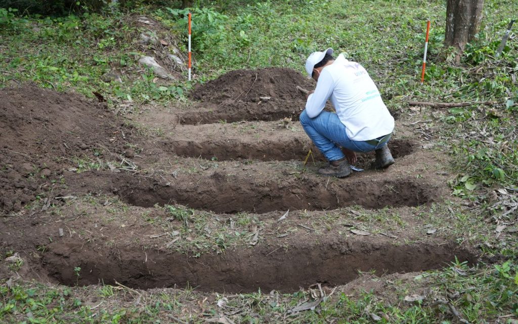 El viaje comenzó antes del amanecer, cuando el frío todavía se aferra a la montaña y el silencio parece más intenso. Un equipo de la Unidad de Búsqueda de Personas dadas por Desaparecidas (UBPD) salió con una misión clara: recuperar los cuerpos de los sitios donde la información recogida indicaba que podían estar. El camino fue largo y exigente. Hubo tramos recorridos en vehículo, otros en lomo de mula y muchos a pie, siguiendo senderos estrechos que serpentean entre pendientes pronunciadas. A más de 2.000 metros de altura, la montaña impuso su ritmo. El aire se volvió más delgado, el cansancio más evidente y el frío, especialmente en la noche, casi congelante. Dormir allí no fue descansar, se trató de un acto de resistencia silenciosa.