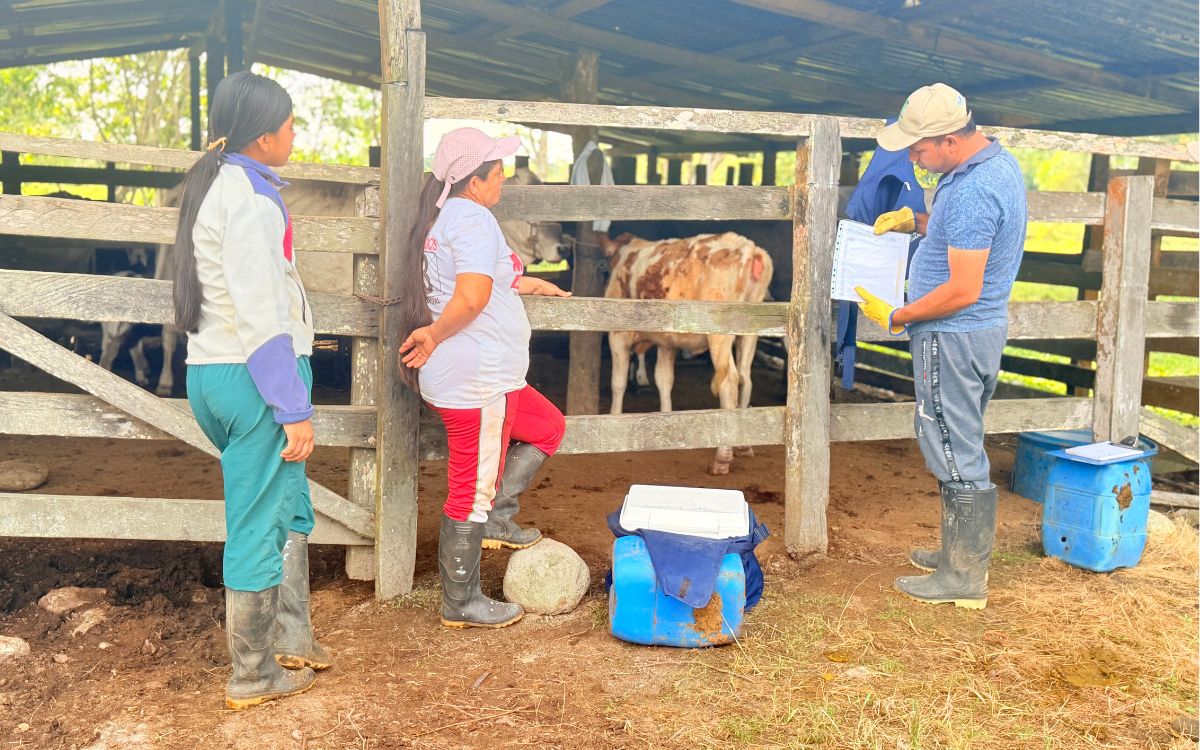 Esa nueva labor que adquirió Juan Carlos empezó meses atrás durante ExpoAsís 2025. En esta importante feria ganadera, los representantes de este gremio conocieron el trabajo de la Unidad de Búsqueda. Comprendieron lo que representaba la ausencia para las personas buscadoras e identificaron que muchos de ellos y sus vecinos habían sido víctimas de este flagelo sin reconocerlo. Ese día, con el apoyo del Comité de Ganaderos de Puerto Asís y de FEDEGAN, se establecieron los acuerdos del trabajo voluntario y colaborativo y se pusieron en marcha.