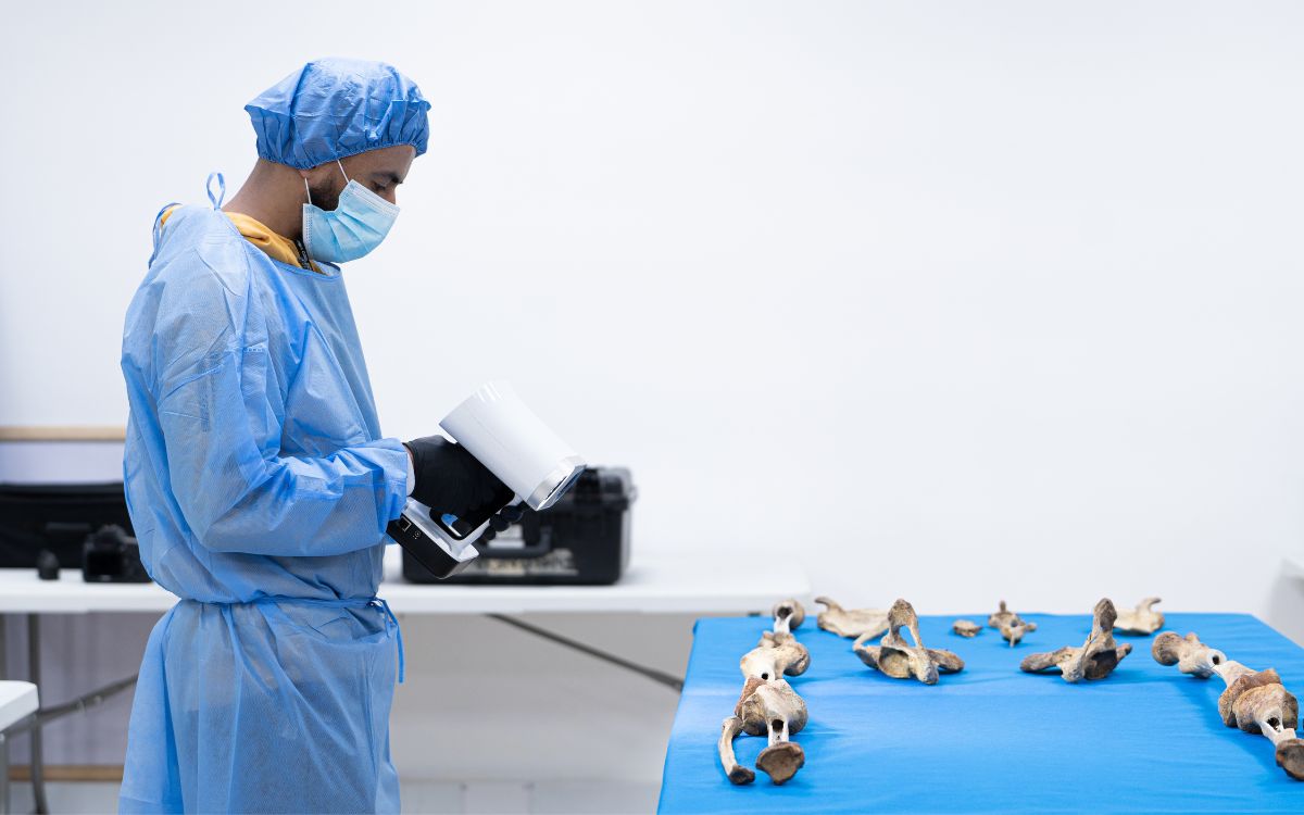 Los Centros Integrales de Abordaje Forense e Identificación son una estrategia de la Unidad de Búsqueda en articulación con el Instituto Nacional de Medicina Legal y Ciencias Forenses. En estos espacios, equipos interdisciplinarios —entre los que se destacan médicos, odontólogos, antropólogos y auxiliares forenses— analizan los cuerpos recuperados en los territorios para avanzar en su identificación.