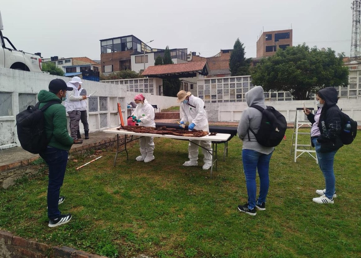 La búsqueda fue posible gracias al trabajo previo de investigación documental y de campo. Dos de los cuerpos tenían hipótesis de identidad y solicitudes de búsqueda activas. El tercero no contaba con identidad orientada, pero también se realizaron tomas de muestra genética para intentar identificarlo en el futuro.