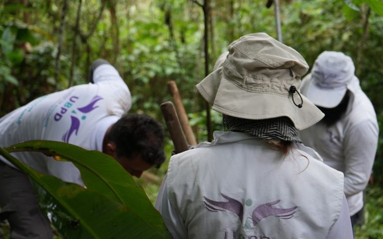 Buscar en Viotá: escarbar en la tierra para aliviar la incertidumbre