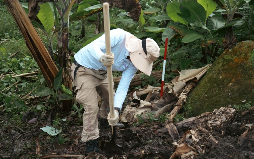 En Viotá (Cundinamarca), la tierra es memoria. Es silencio acumulado. Es una historia que no terminó de contarse. Con ayuda de la Corporación Humanitario Reencuentros, se intervinieron sitios de interés forense.