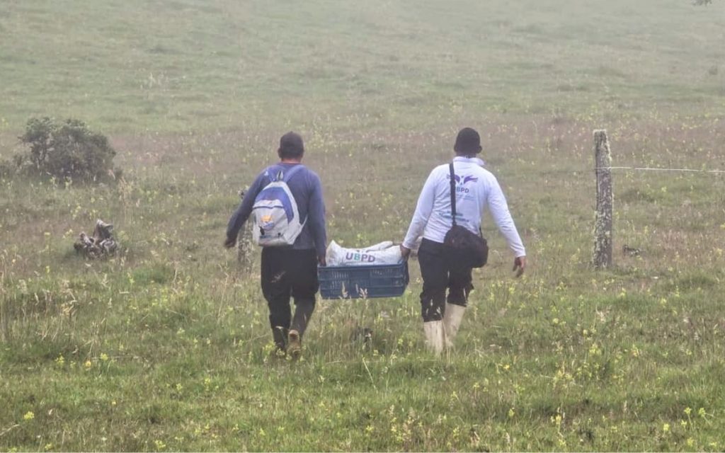 Gracias a los aportes de información recibidos por parte de miembros del Frente Comuneros del Sur, de firmantes del Acuerdo de Paz y de personas civiles, la Unidad de Búsqueda de Personas dadas por Desaparecidas (UBPD) recuperó en territorios ancestrales de Nariño los cuerpos de 10 personas dadas por desaparecidas. Municipios como La Llanada, Cumbal, Samaniego y Santacruz de Guachavés han sido los territorios priorizados para estas acciones humanitarias y extrajudiciales. 