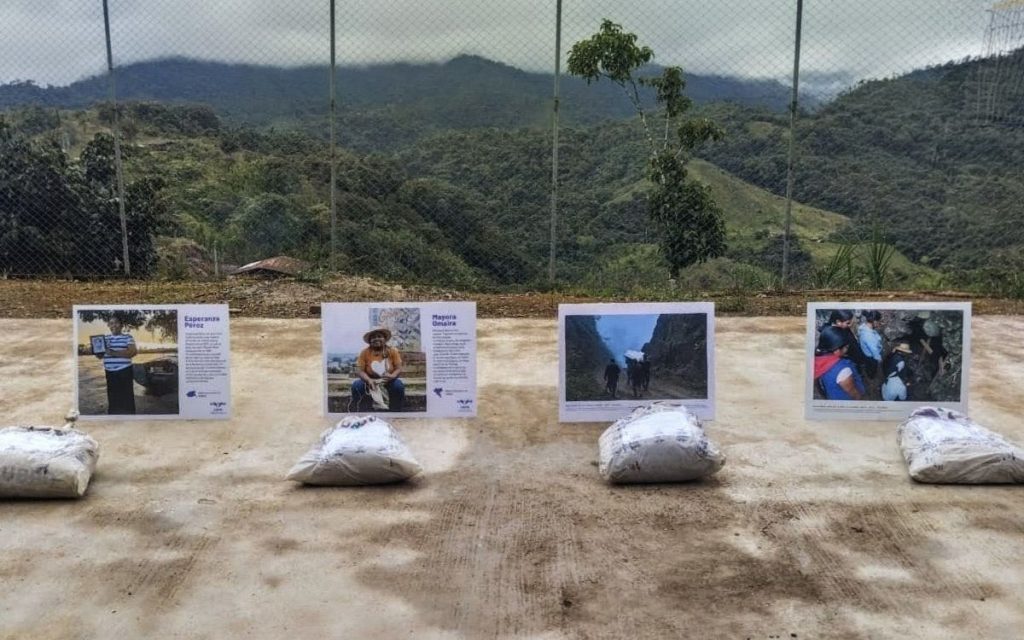 Gracias a los aportes de información recibidos por parte de miembros del Frente Comuneros del Sur, de firmantes del Acuerdo de Paz y de personas civiles, la Unidad de Búsqueda de Personas dadas por Desaparecidas (UBPD) recuperó en territorios ancestrales de Nariño los cuerpos de 10 personas dadas por desaparecidas. Municipios como La Llanada, Cumbal, Samaniego y Santacruz de Guachavés han sido los territorios priorizados para estas acciones humanitarias y extrajudiciales. 