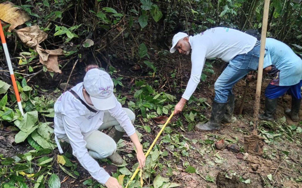 En el Chocó, la búsqueda de las personas desaparecidas suele abrirse paso entre su geografía agreste, la premura del tiempo y una población golpeada por el conflicto armado que ha tardado años en encontrar el momento para hablar. 