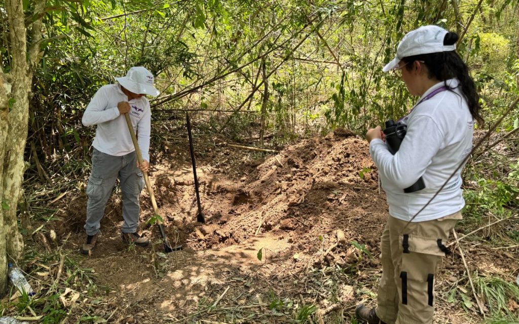 En las profundidades rurales del municipio de Pivijay, en el Magdalena, el barro no solo se adhiere a las botas de quienes buscan, se siente como un peso en el alma que recuerda el tiempo transcurrido desde aquel julio de 2001. Allí, donde la geografía ha mutado de una selva de árboles majestuosos a un bosque denso y suelos pedregosos que guardan silencios de más de dos décadas, la Unidad de Búsqueda de Personas dadas por Desaparecidas (UBPD) regresó para intentar devolverle la paz a cuatro familias. 