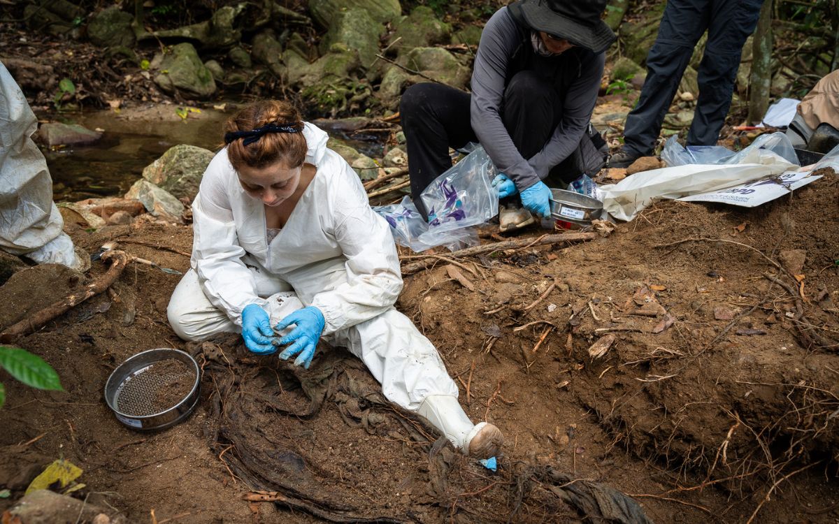 La Unidad de Búsqueda recupera tres cuerpos en el corregimiento de Guachaca, en la Sierra Nevada de Santa Marta