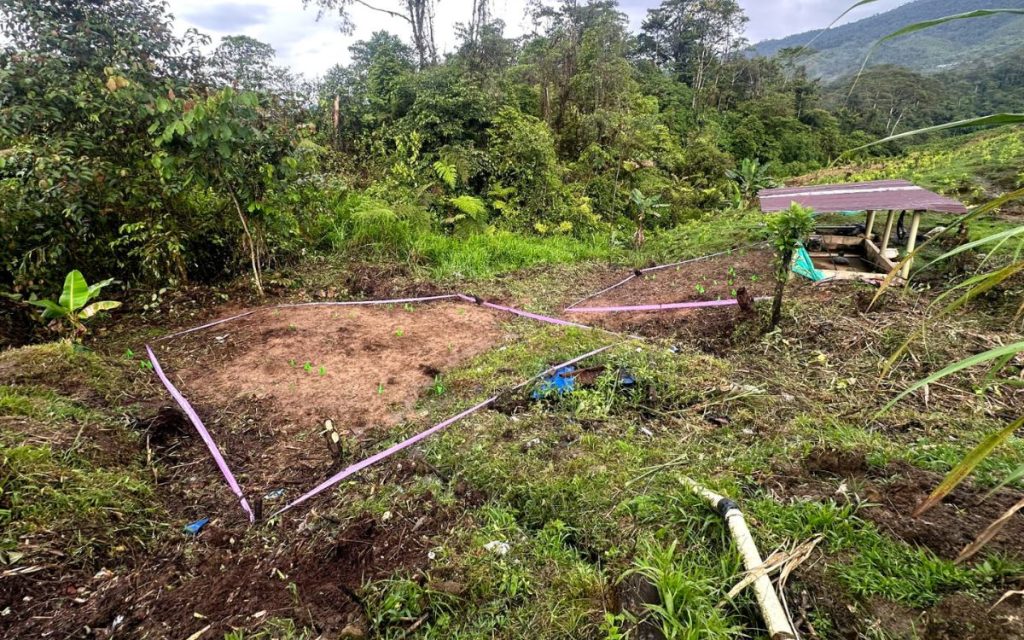 En medio del canto de las 'Chicharras', de la humedad y de la lluvia que acompañan las acciones humanitarias de prospección y recuperación de personas dadas por desaparecidas que realiza la Unidad de Búsqueda de Personas dadas por Desaparecidas (UBPD) en el resguardo indígena Awá El Sande, del municipio nariñense de Santacruz de Guachavés, el médico tradicional Manolo Nastacuás sana con su soplido este lugar sagrado.