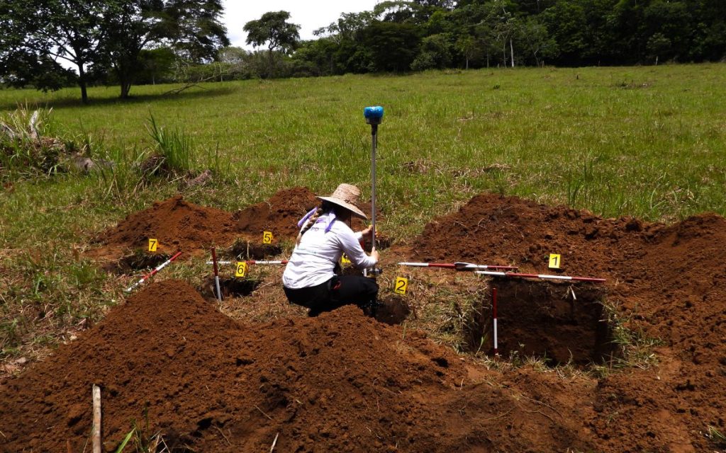 La Unidad de Búsqueda de Personas dadas por Desaparecidas (UBPD) recuperó siete cuerpos durante acciones humanitarias adelantadas en zonas rurales del municipio de Puerto Rico, en el Meta, donde se investigan desapariciones ocurridas en el contexto del conflicto armado entre finales de la década de 1990 y el 2005.