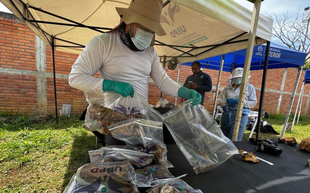 Con el reto de intervenir cerca de 104 sitios de interés forense, la Unidad de Búsqueda de Personas dadas por Desaparecidas (UBPD) inició la quinta fase de prospección y recuperación de cuerpos en el cementerio municipal de Bucaramanga, en donde se estima fueron inhumados más de 789 cuerpos asociados al conflicto armado.