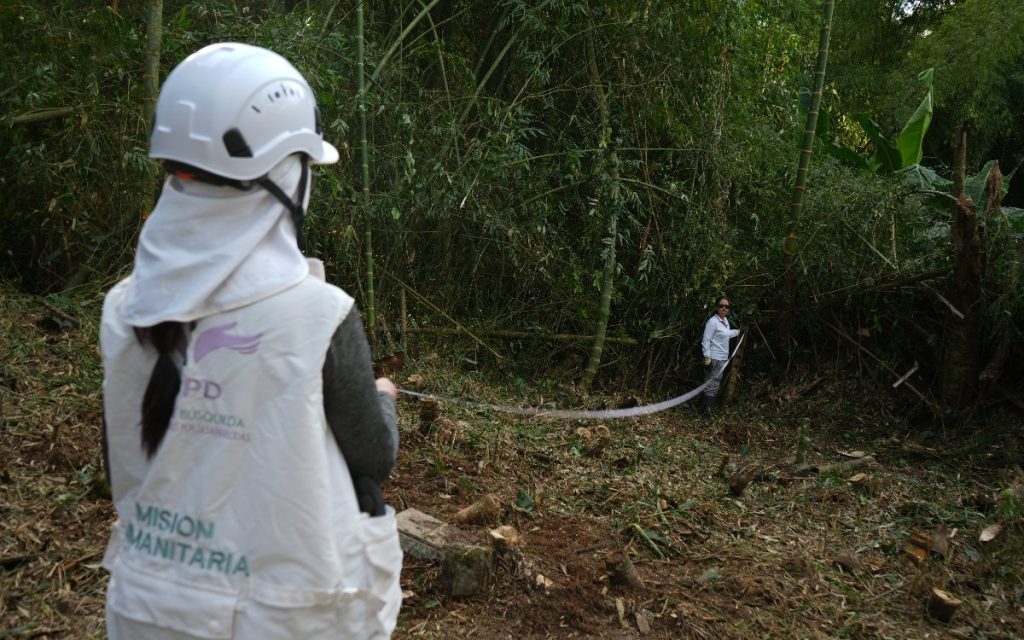 Integrantes de un equipo de trabajo con cascos blancos y herramientas de jardinería realizando labores de limpieza y despeje de vegetación en un sector boscoso con tumbas y cruces de cemento.