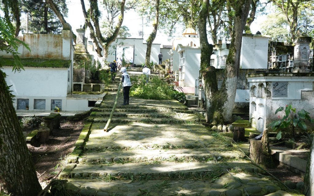 Sendero empedrado y escalonado en un cementerio rodeado de árboles y tumbas blancas. En el centro, una persona con casco de protección camina cargando una caña de bambú.