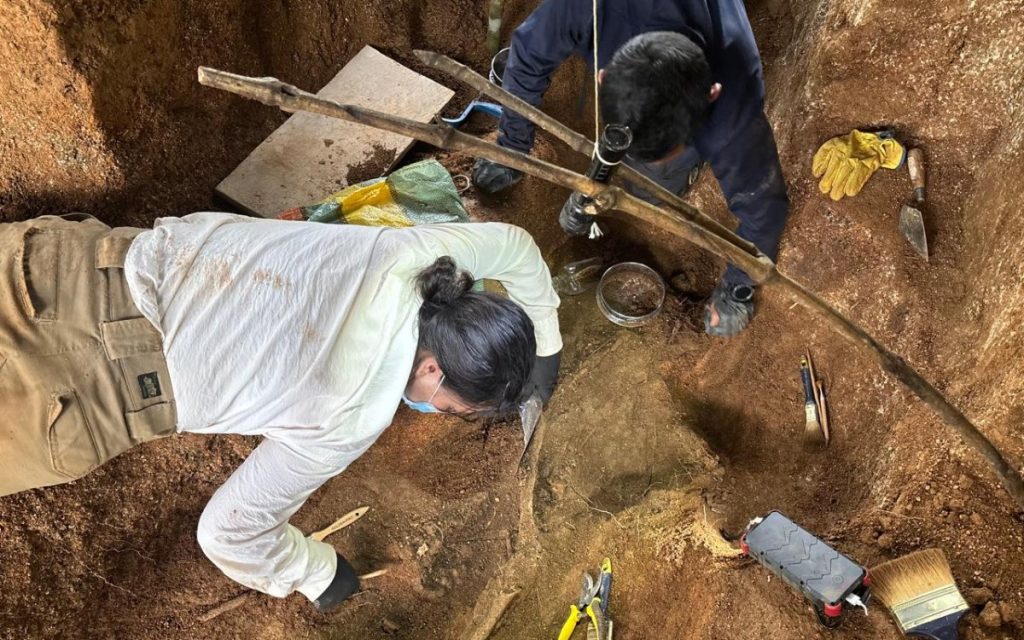 Toma cenital (desde arriba) que muestra a dos personas del equipo de búsqueda trabajando inclinadas sobre la tierra. Utilizan herramientas de precisión como brochas, pinceles y tijeras de podar para remover con cuidado la tierra alrededor de los hallazgos.